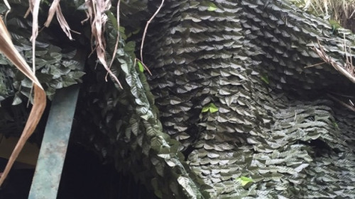 Hầm trú ẩn được ngụy trang kỹ lưỡng bên ngoài. Ảnh: AP