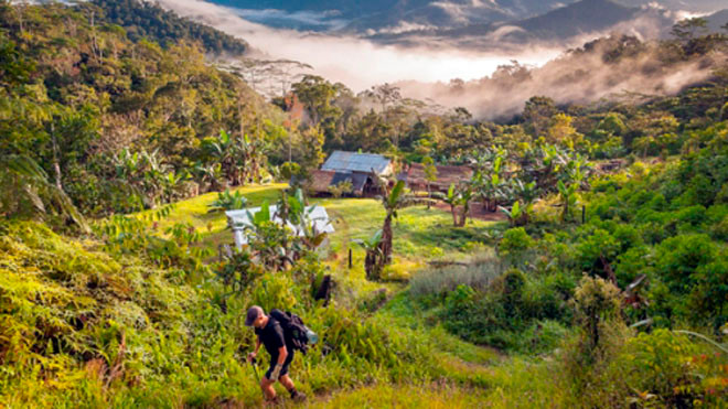 Du khách trekking trong rừng rậm ở Papua New Guinea. Ảnh: NatGeo