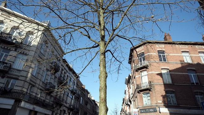 Đường phố Rue Bergé ở quận Schaerbeek của Brussels - nơi cảnh sát phát hiện ra căn hộ được cho là nơi ẩn náu của những kẻ khủng bố PAris. (Ảnh: Zuma Press)