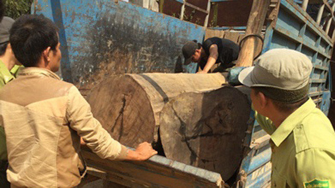 Xe tải chở gỗ lậu bị phát hiện