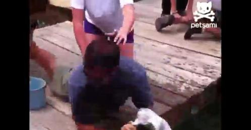 Người đàn ông dùng tay làm mồi nhử câu cá “khủng“