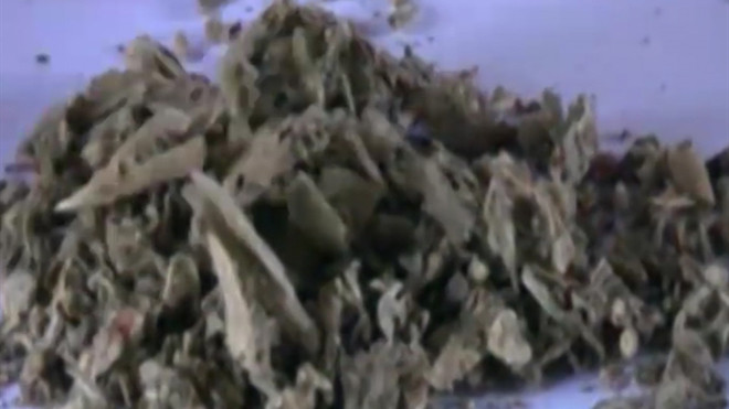 Cỏ mỹ đang len lỏi hủy hoại giới trẻ từng ngày