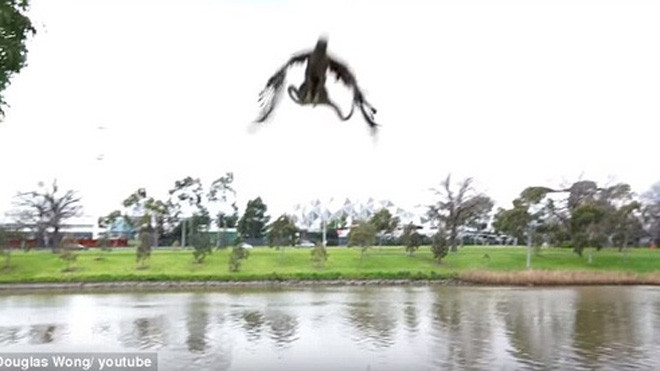 Thả xuống người nhà ông Wong