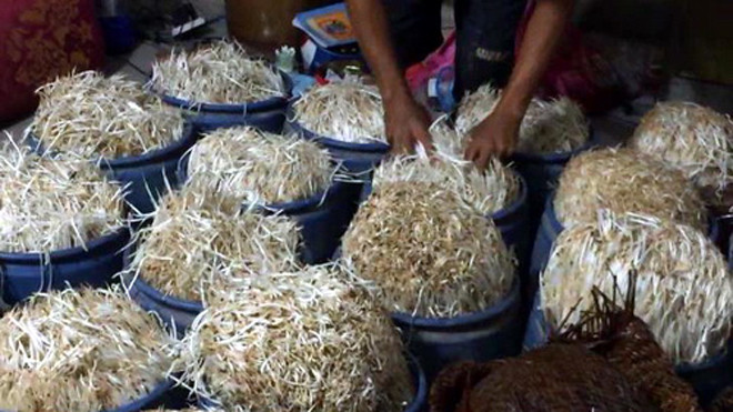 Giá đỗ được sử dụng hóa chất để sản xuất. Ảnh: Vnexpress