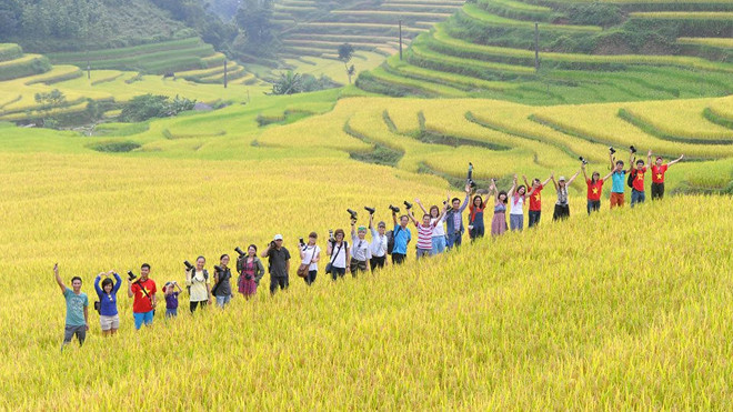 Ngỡ ngàng ruộng bậc thang Hoàng Su Phì mùa lúa chín