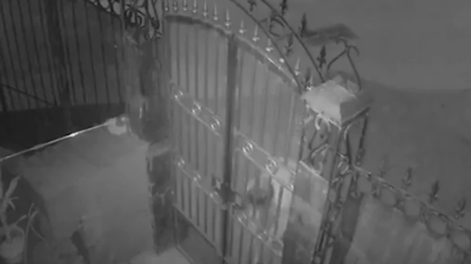 Ảnh cắt từ clip