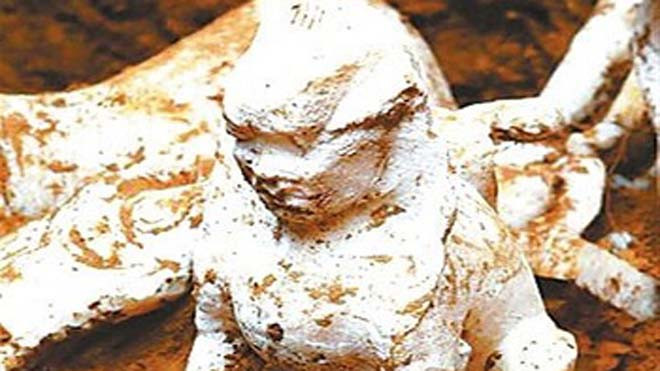 Tượng nhân sư bằng đá cẩm thạch trắng ở Trung Quốc. Ảnh: Shanghai Daily.