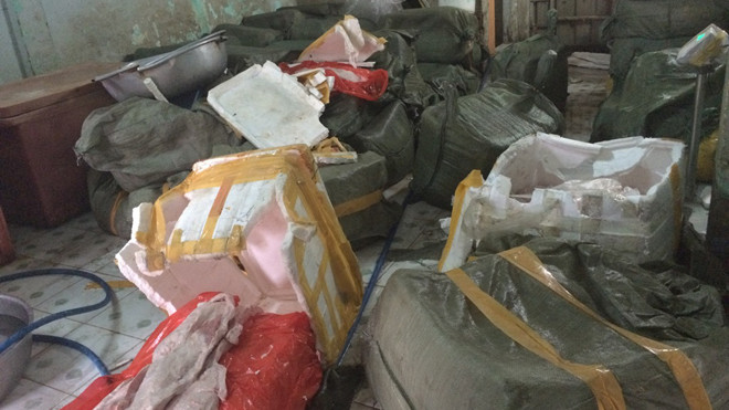 Hơn 2 tấn thịt heo thối bị phát hiện.