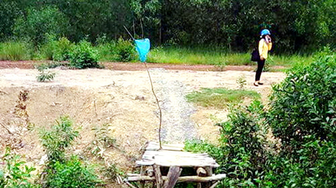 Hình ảnh cô Hải Âu đăng trên Facebook.