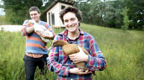 Vợ chồng nhà Rachel Newby và Liam Culbertson đang ôm chú vịt và ngỗng do mình tự nuôi, phía sau là ngôi nhà nhỏ xíu của hai người. Ảnh: Freshfactsonlinenews.