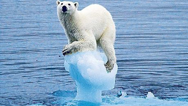 Trái đất đất đang đối mặt với hiện tượng tan băng ở hai cực là một trong những tác động lớn của hiện tượng trái đất nóng lên. Ảnh minh họa: Telegraph