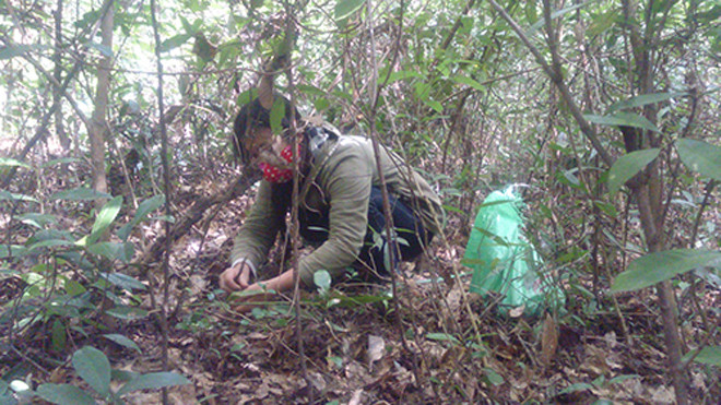 Người dân Quảng Lưu nhặt lộc trời. Ảnh: Hoàng Táo