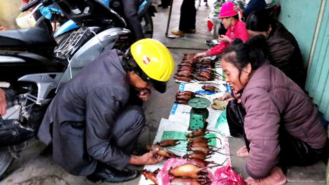 Chợ chuột đồng Cổ Dũng. Ảnh: Giang Chinh