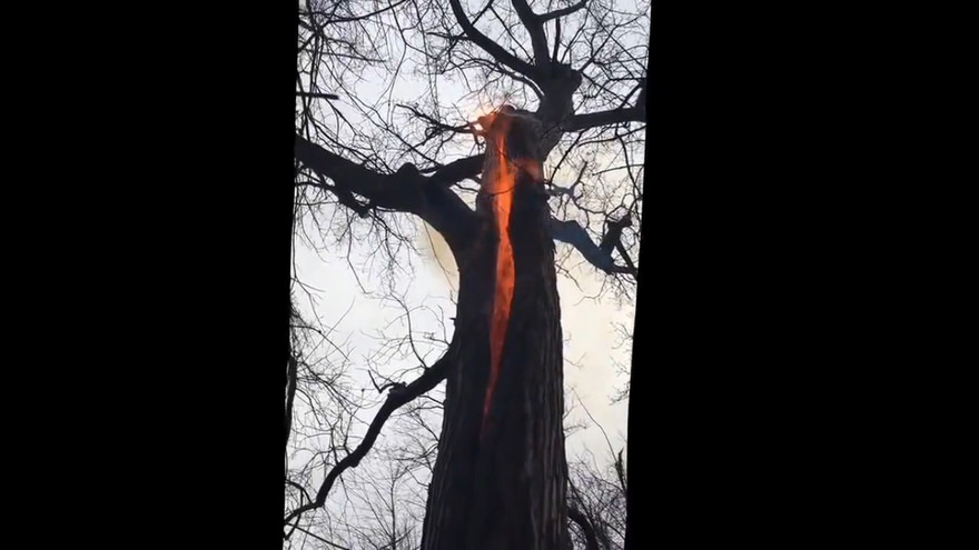 Ảnh cắt từ clip