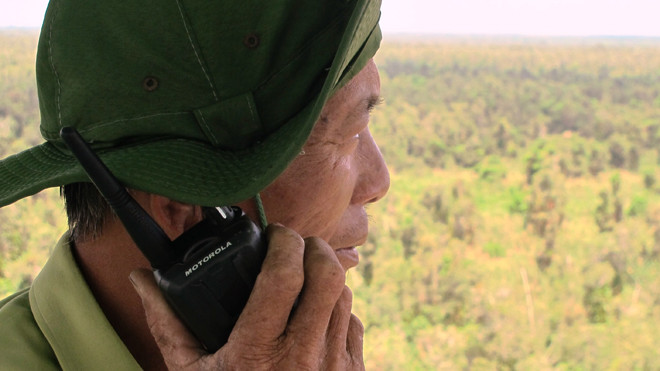 Nguy cơ cao cháy rừng U Minh Hạ