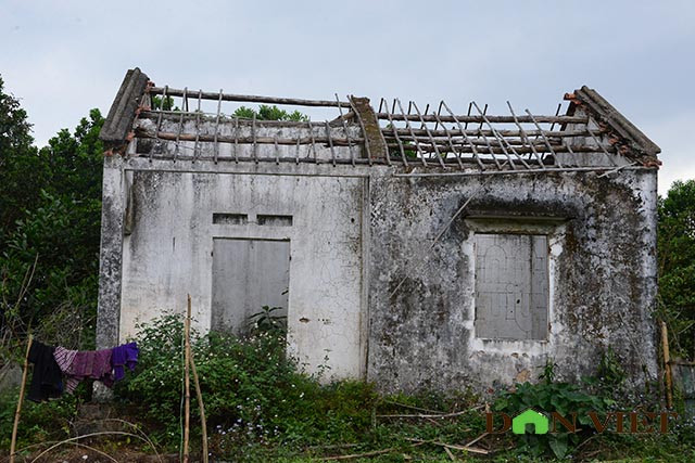 Những ngôi nhà kinh tế mới bị bỏ hoang.
