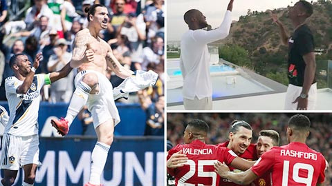 Ibrahimovic tổ chức tiệc chia tay, mời cả đội M.U