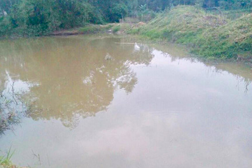 Hồ nước nơi hai em Minh và Thông gặp nạn. Ảnh: Đ.H