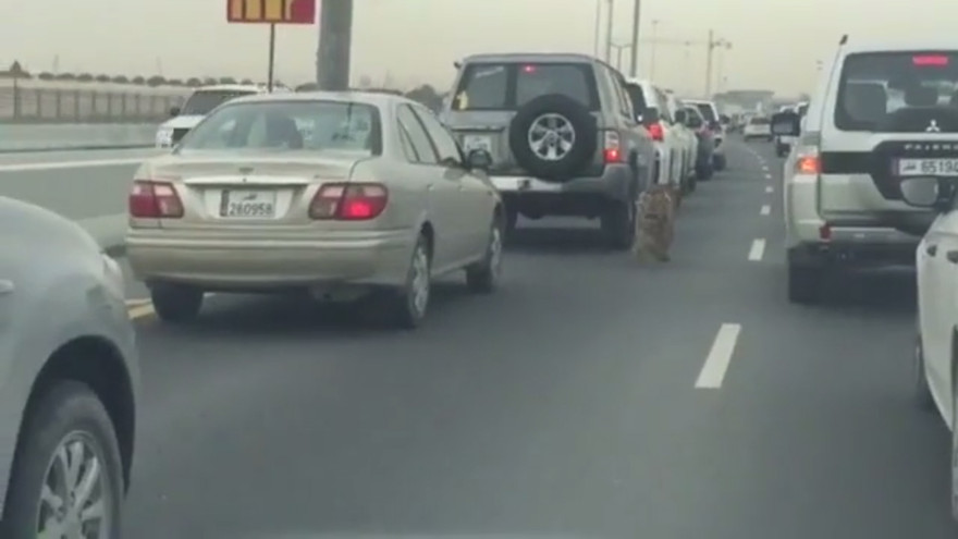 Ảnh cắt từ clip