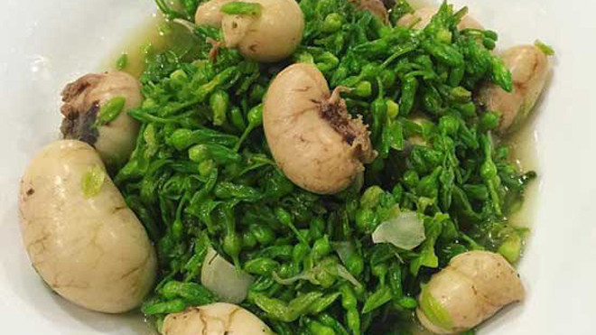 Ngọc kê đang là món ăn khiến nhiều người phát sốt, lùng mua về ăn