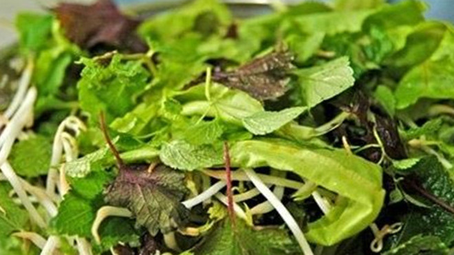 Những vi khuẩn gây nhiễm trùng đường tiêu hóa trong thức ăn