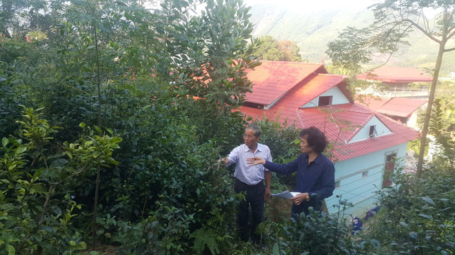 Lão nông uy tín Phùng Đức Hòa kể với nhà báo câu chuyện trồng rừng và chăn nuôi làm giàu bên cạnh biệt phủ trên núi.