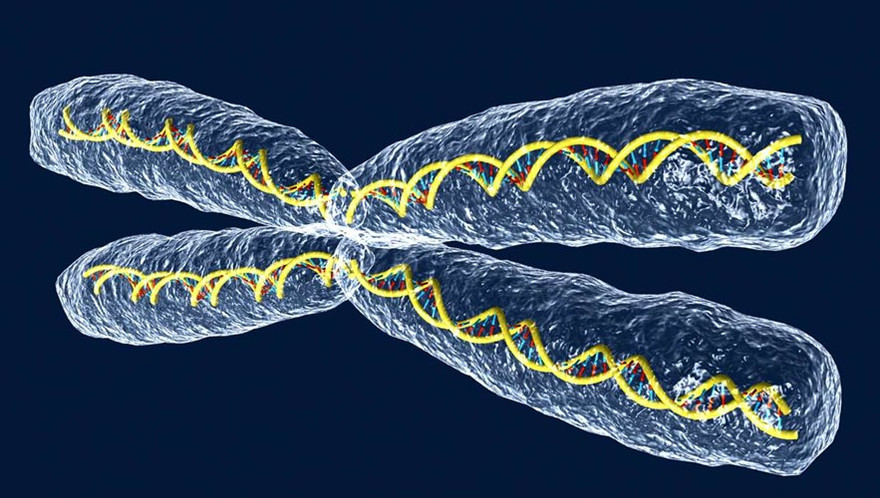 Những điều cần biết về bệnh rối loạn đông máu