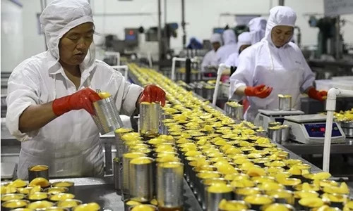 Công nhân tại một nhà máy chế biến nước đào ép ở Hoài Bắc, tỉnh An Huy, Trung Quốc ngày 31/8/2018. Ảnh: AFP.