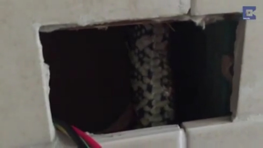 Ảnh cắt từ clip