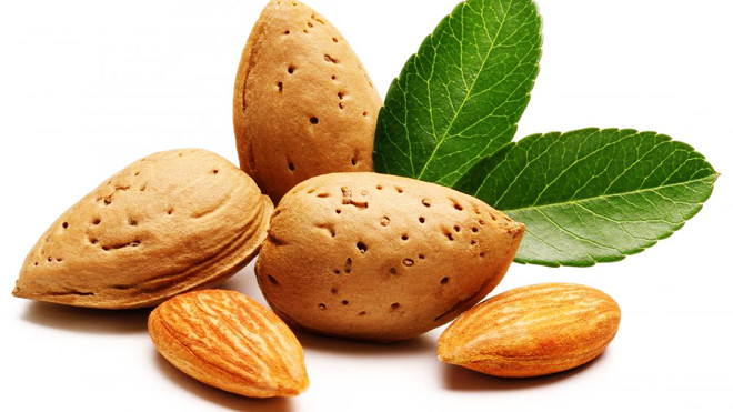 Hạnh nhân trị hen phế quản