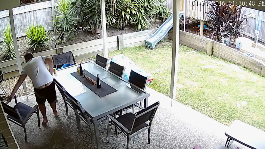 Chó bảo vệ chủ thoát rắn nâu cực độc