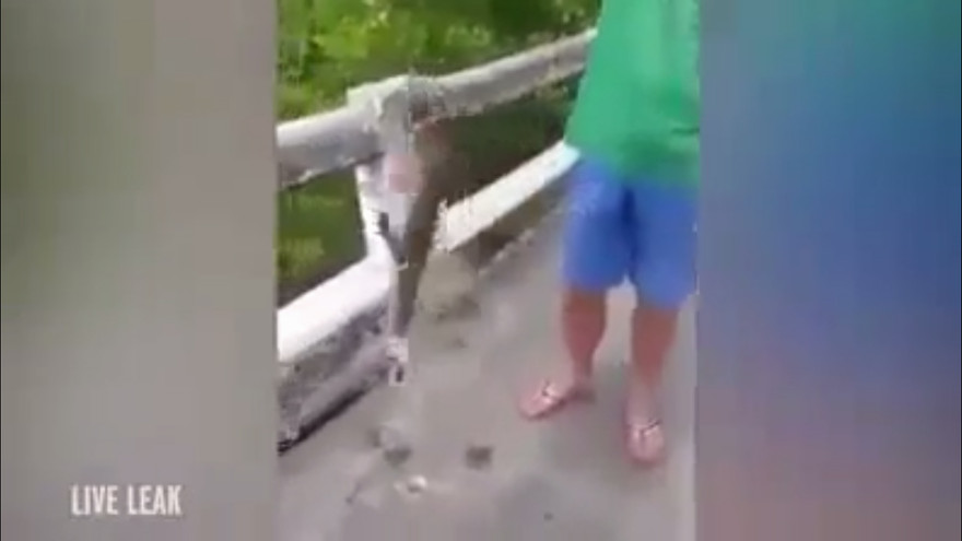 Ảnh cắt từ clip