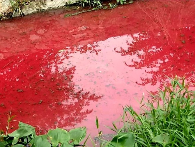 Cơ quan chức năng nói gì vụ suối nước màu đỏ kỳ lạ ở Bình Dương?