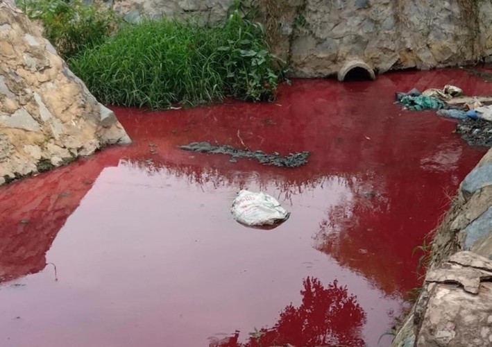 Con suối xuất hiện màu đỏ như máu ở Bình Dương