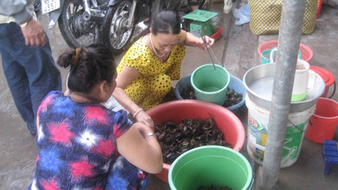 Đỏ mắt tìm mua cua đồng