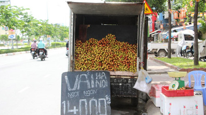 Các điểm bán vải lưu động có giấy phép sẽ giúp thị trường Hà Nội tiêu thụ lượng lớn vải thiều năm nay. Ảnh: Vnexpress
