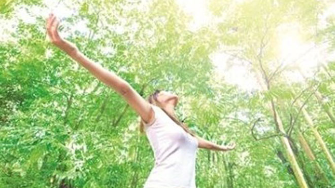 Không khí trong lành cứu sống 2 triệu người mỗi năm