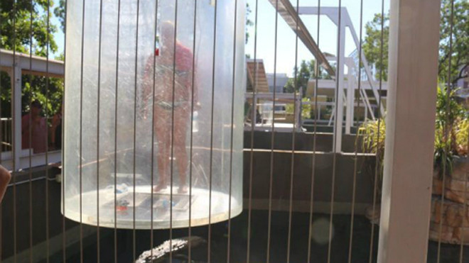 Nữ du khách Hà Lan bị mắc kẹt treo lơ lửng và bên dưới là con cá sấu William. 