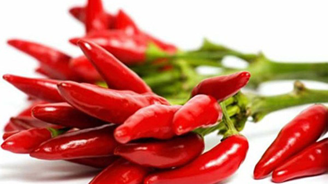 Các bộ phận của cây ớt đều có tác dụng trị bệnh rất hiệu quả