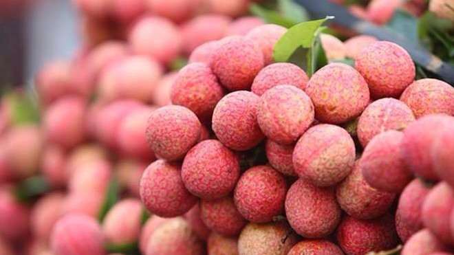 Cách dùng quả vải chữa yếu sinh lý cho quý ông