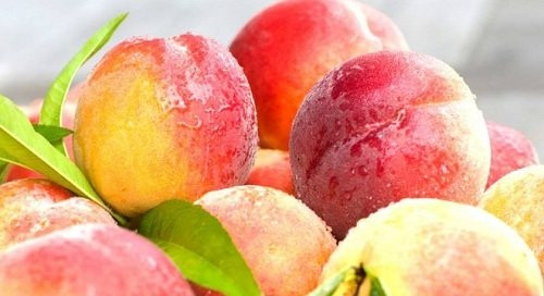 Những loại quả mùa hè dễ bị ngâm hóa chất nhất chợ