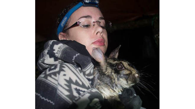 Woodfin bế con thỏ vằn hiếm. Ảnh: IB Times