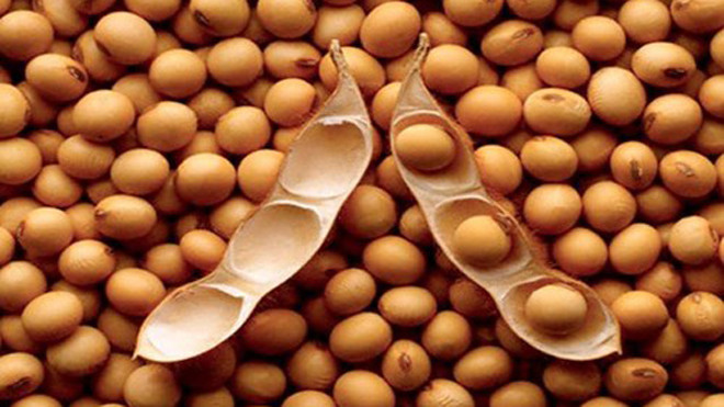 Nam giới trung niên nên ăn thực phẩm gì cho khoẻ?