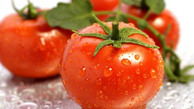 Lycopene ngăn ngừa quá trình phá hủy cấu trúc tái tạo Collagen.