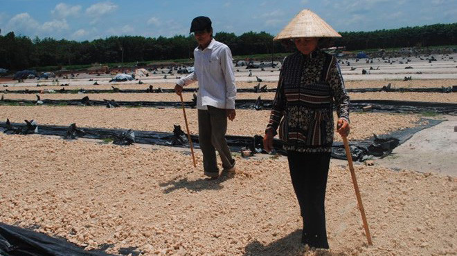 Vợ chồng ông Bén, bà Lệ ráng làm thêm vài năm để về quê sửa nhà.