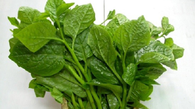 Mồng tơi rất giàu vitamin A, giúp tăng cường hệ thống miễn dịch, ngăn ngừa vi khuẩn và hỗ trợ xương chắc khỏe. Ảnh: Wikipedia. Ngăn ngừa loãng xương