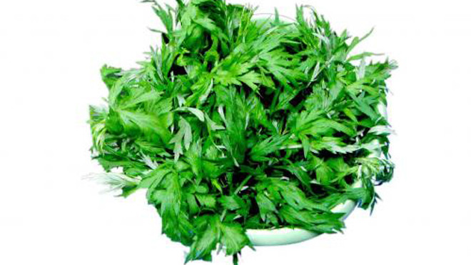 Mẹo hay sử dụng ngải cứu để làm đẹp da