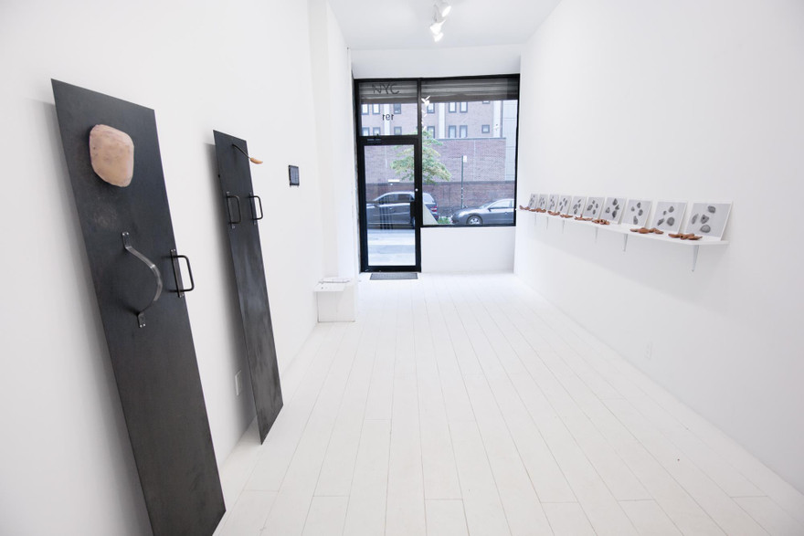 Organon- triển lãm solo của nghệ sỹ trẻ Việt tại Mỹ