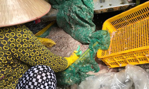 Từ đồ bỏ đi, vảy cá được thu gom để bán.