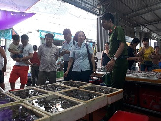 Thu giữ lượng lớn tôm căng, mập bất thường do bơm chất độc hại